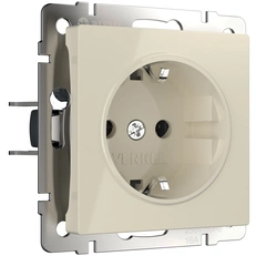 Изображение Розетка с заземлением (слоновая кость) W1171003